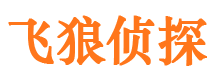 汉寿市调查公司